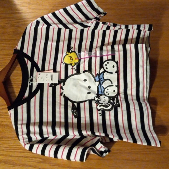Womens pochacco tshirt crop XXL 19 long 22 armpit to armpit  striped - Picture 1 of 4